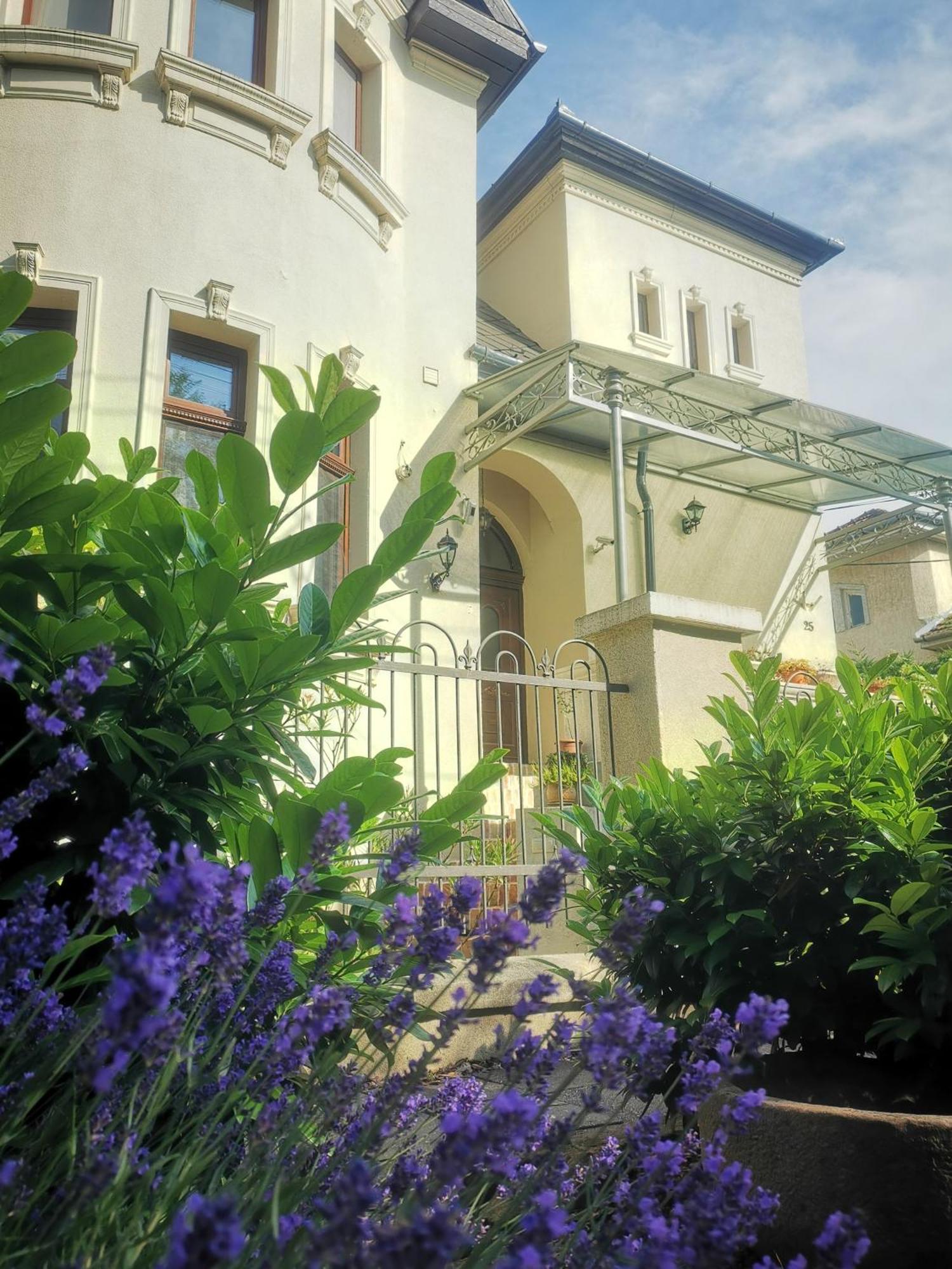 Kuria Apartman With Private Jacuzzi And Pool Βουδαπέστη Εξωτερικό φωτογραφία