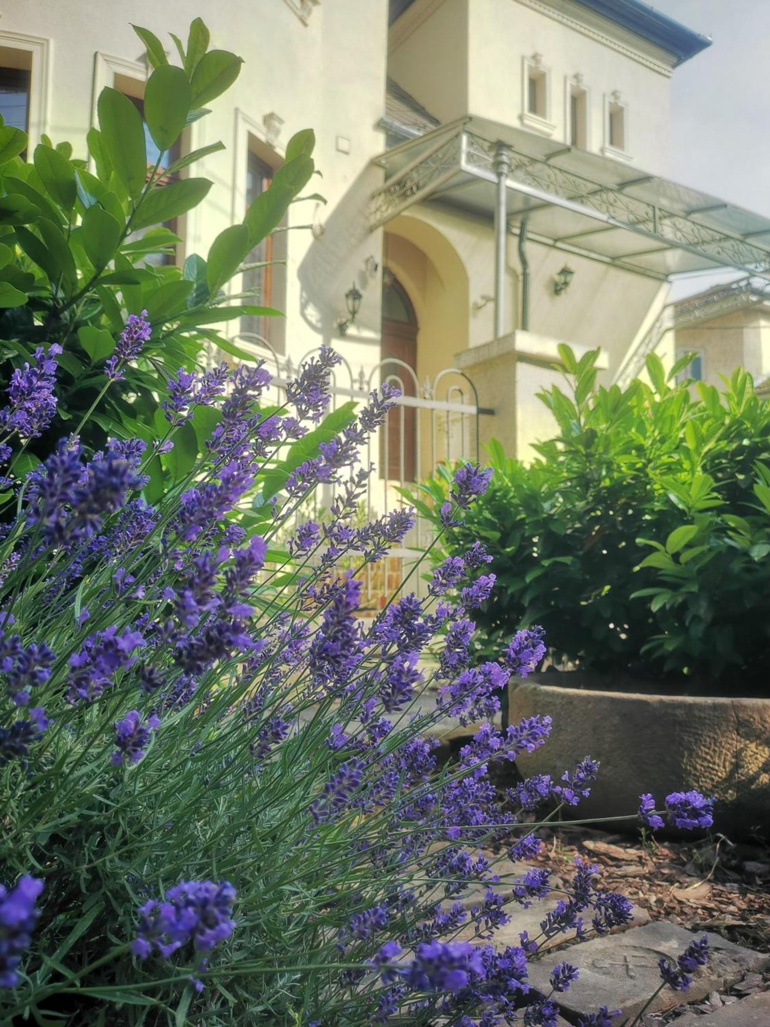 Kuria Apartman With Private Jacuzzi And Pool Βουδαπέστη Εξωτερικό φωτογραφία
