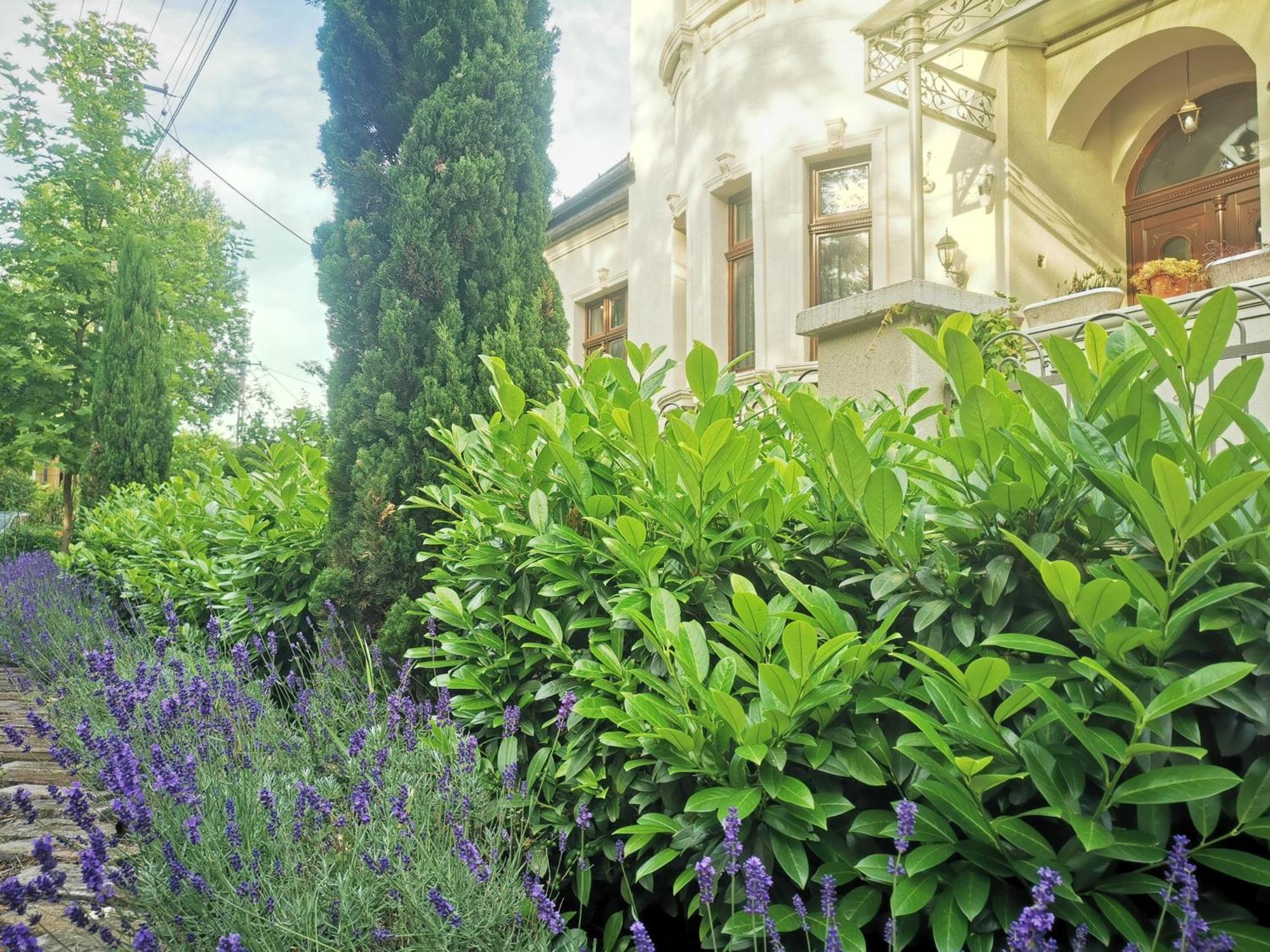 Kuria Apartman With Private Jacuzzi And Pool Βουδαπέστη Εξωτερικό φωτογραφία